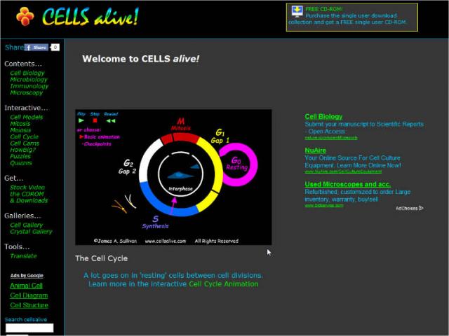 ���� � ���������� ����������� �� ��������� (cells alive).