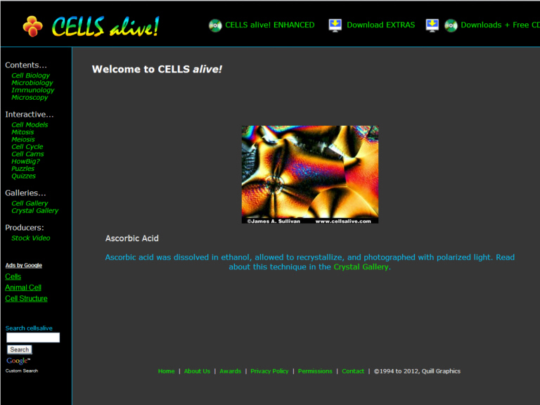 �ells alive!